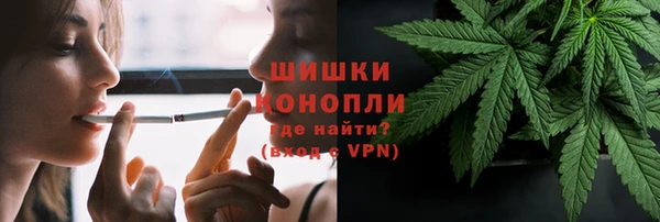 гашик Белоозёрский