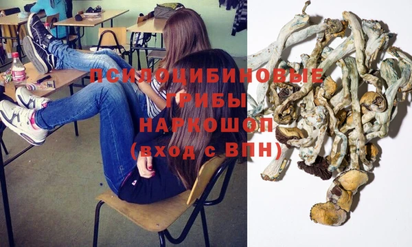 гашик Белоозёрский