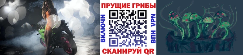 магазин продажи наркотиков  MEGA tor  Псилоцибиновые грибы MAGIC MUSHROOMS  Красноярск 